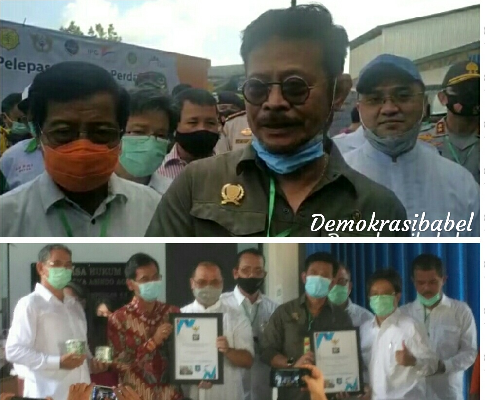 Kunker Di Bangka, Menteri Pertanian RI Tinjau Pabrik Tapioka PT BAA ...