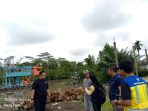 IMG-20260516-WA0040